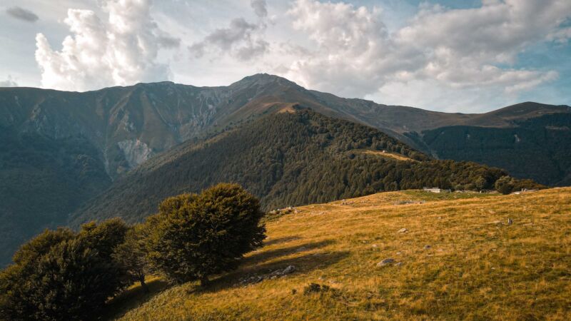 pexels-francesco-ungaro-18685935