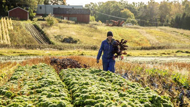 Petra&WoutJanssen20241007-3079-10x15